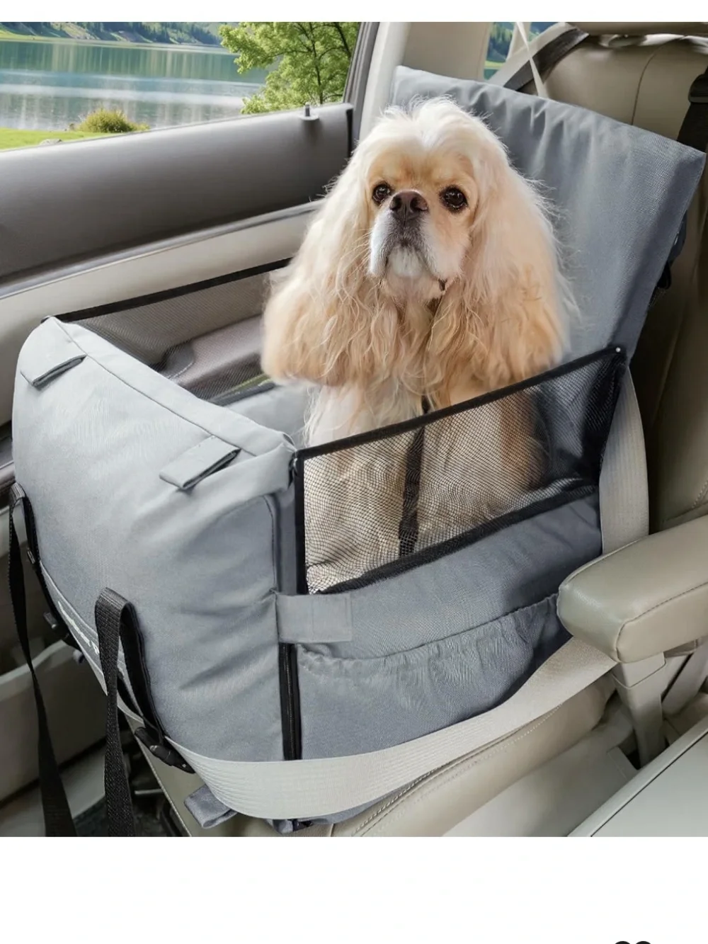Gray Dog Booster Car Seat with Mesh Sides